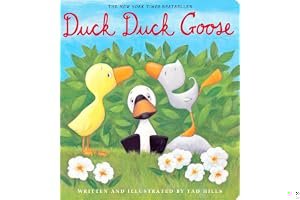 Duck, Duck, Goose book cover