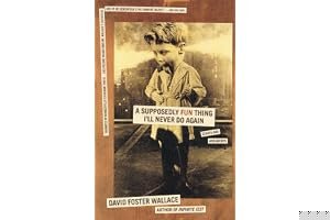 A Supposedly Fun Thing I'll Never Do Again: Essays and Arguments book cover