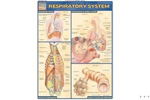Respiratory System book cover