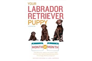 Your Labrador Retriever Puppy Month by Month, 2nd Edition: Everything You Need to Know at Each Stage of Development book cover