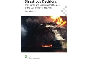 Disastrous Decisions: Human & Organisational Causes of the Gulf of Mexico Blowout book cover