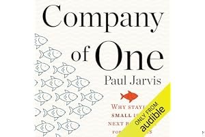 Company of One: Why Staying Small Is the Next Big Thing for Business book cover