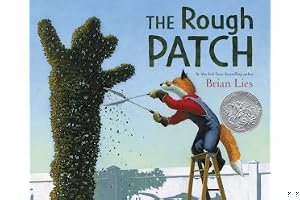 The Rough Patch book cover