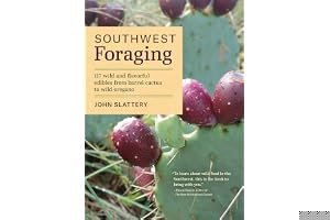 Southwest Foraging: 117 Wild and Flavorful Edibles from Barrel Cactus to Wild Oregano book cover