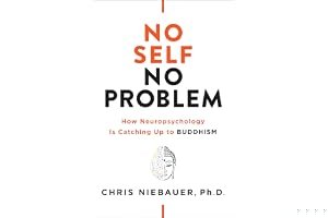 No Self, No Problem: How Neuropsychology Is Catching Up to Buddhism book cover