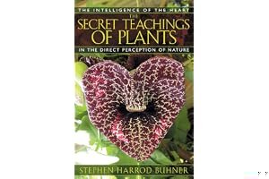The Secret Teachings of Plants: The Intelligence of the Heart in the Direct Perception of Nature book cover