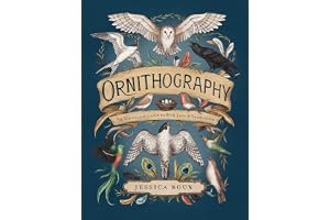 Ornithography: An Illustrated Guide to Bird Lore & Symbolism (Hidden Languages Book 2) book cover