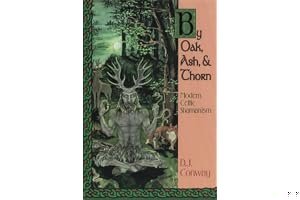 By Oak, Ash, & Thorn: Modern Celtic Shamanism book cover