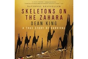 Skeletons on the Zahara: A True Story of Survival book cover