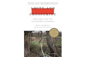Amity and Prosperity: One Family and the Fracturing of America book cover