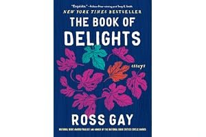 The Book of Delights book cover