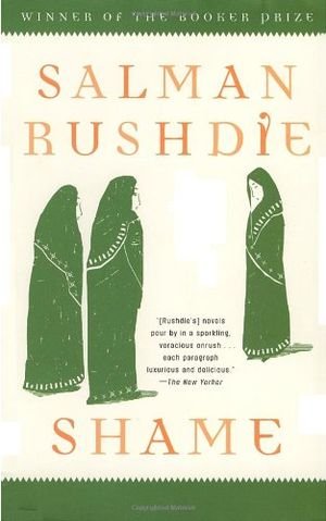 Shame book cover