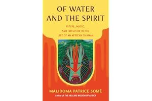 Of Water and the Spirit: Ritual, Magic, and Initiation in the Life of an African Shaman book cover