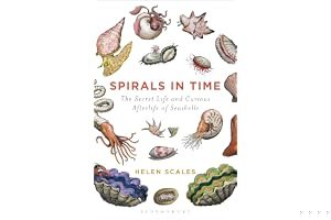 Spirals in Time: The Secret Life and Curious Afterlife of Seashells book cover