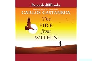The Fire from Within book cover