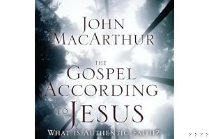 The Gospel According to Jesus: What Is Authentic Faith? book cover