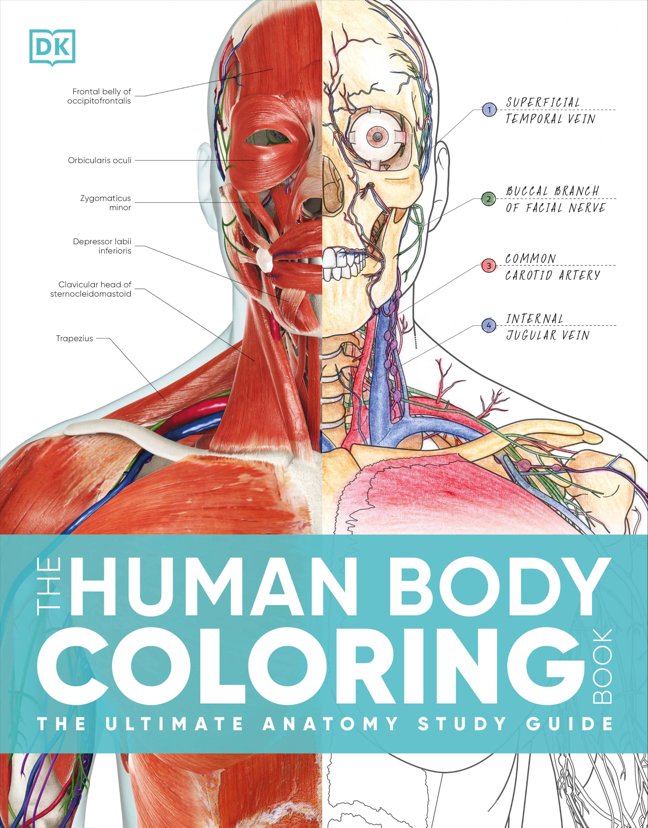 The Human Body Coloring Book: The Ultimate Anatomy Study Guide, Second Edition (DK Human Body Guides) book cover