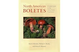 North American Boletes: A Color Guide to the Fleshy Pored Mushrooms book cover