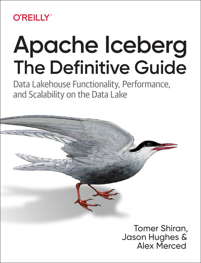 Apache Iceberg: The Definitive Guide: Data Lakehouse Functionality, Performance, and Scalability on the Data Lake book cover