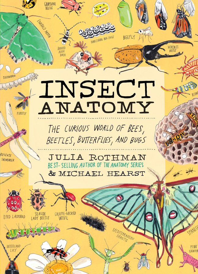 Insect Anatomy: The Curious World of Bees, Beetles, Butterflies, and Bugs book cover
