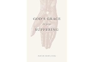 God's Grace in Your Suffering book cover
