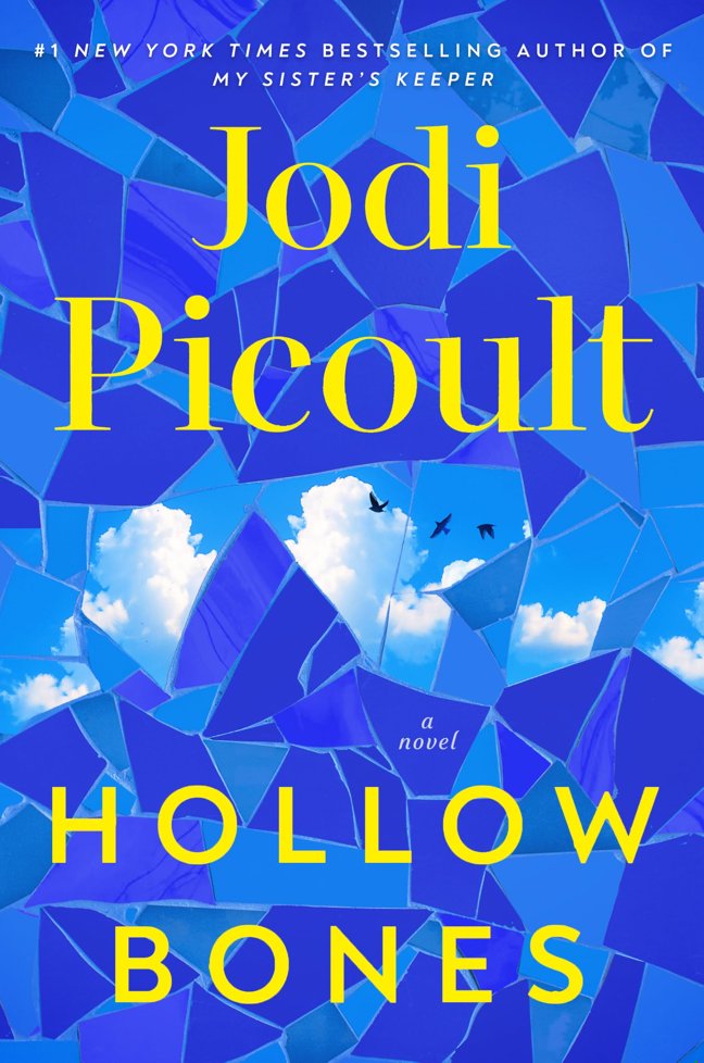 Hollow Bones: A Novel book cover