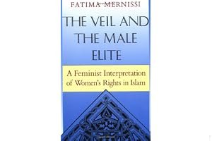 The Veil and the Male Elite: A Feminist Interpretation of Women's Rights in Islam book cover
