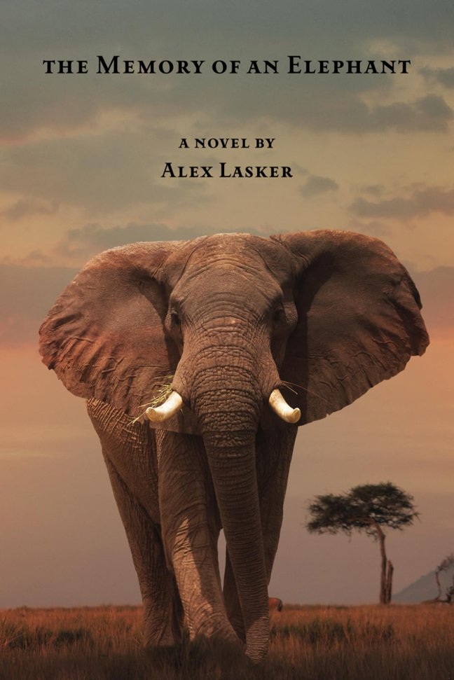The Memory of an Elephant book cover