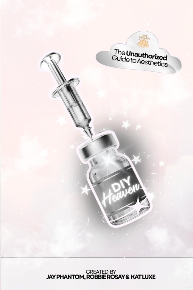 DIY Heaven: The Unauthorized Guide to Aesthetics book cover