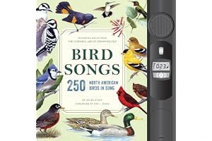 Bird Songs: 250 North American Birds in Song book cover