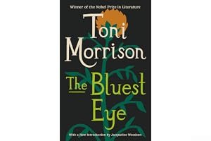 The Bluest Eye book cover