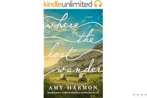 Where the Lost Wander: A Novel book cover