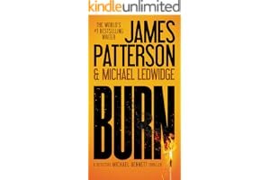 Burn (Michael Bennett, #7) book cover