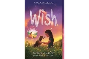 Wish book cover
