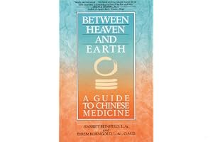Between Heaven and Earth book cover