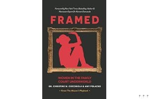 Framed: Women in the Family Court Underworld book cover