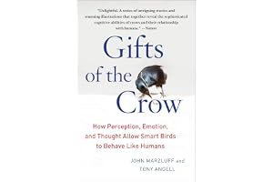 Gifts of the Crow: How Perception, Emotion, and Thought Allow Smart Birds to Behave Like Humans book cover