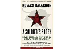A Soldier's Story: Revolutionary Writings by a New Afrikan Anarchist book cover