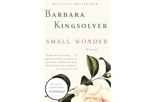 Small Wonder book cover