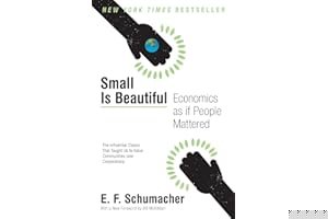 Small Is Beautiful: Economics as if People Mattered book cover