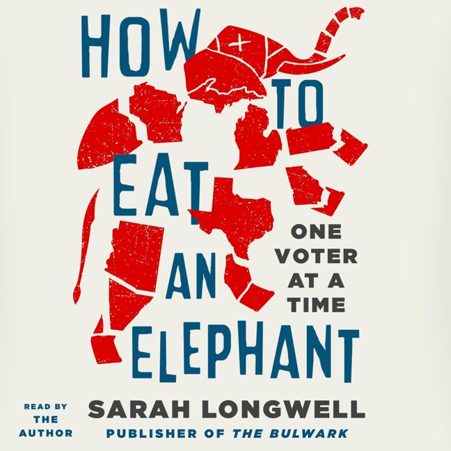 How to Eat an Elephant: One Voter at a Time book cover