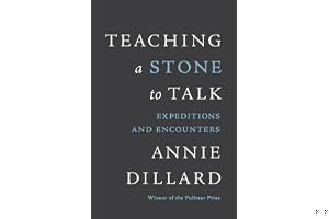 Teaching a Stone to Talk: Expeditions and Encounters book cover