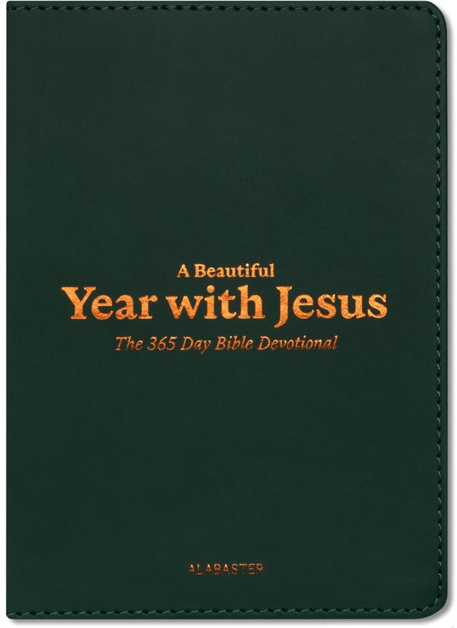 A Beautiful Year with Jesus (LB): The Daily Devotional For 365 Days in the Bible | Bible Study Guide for Spiritual Growth book cover