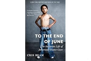 To the End of June: The Intimate Life of American Foster Care book cover