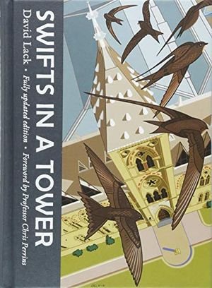 Swifts in a Tower book cover