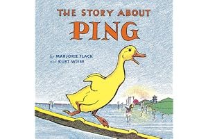 Ping book cover