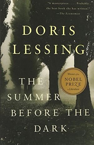 The Summer Before the Dark book cover