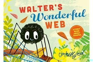 Walter's Wonderful Web book cover