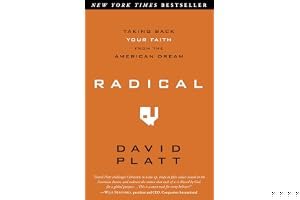 Radical: Taking Back Your Faith from the American Dream book cover