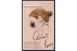 The Quiet Room: A Journey Out of the Torment of Madness book cover